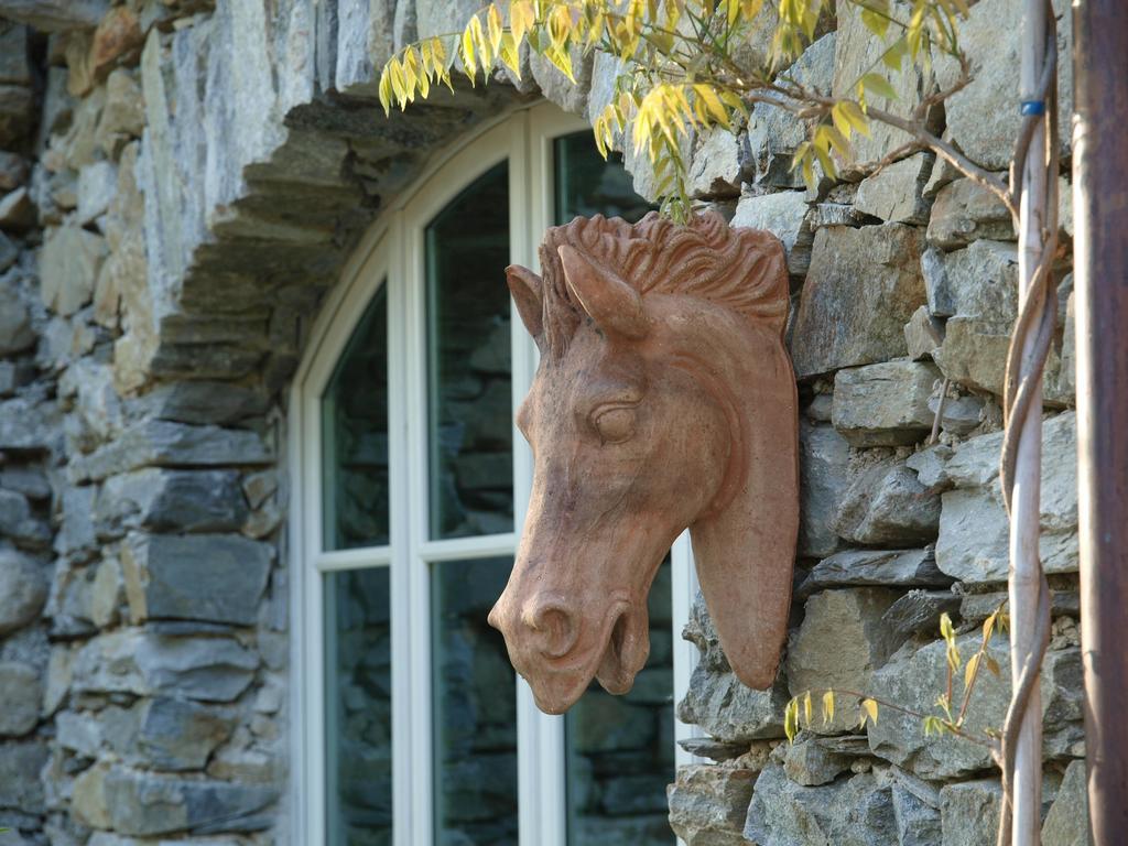 Park Hotel Villa Belvedere Cannobio Luaran gambar