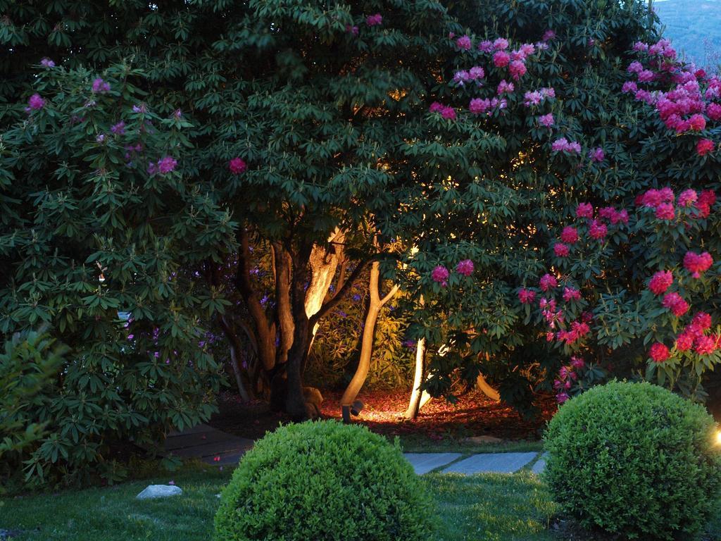 Park Hotel Villa Belvedere Cannobio Luaran gambar